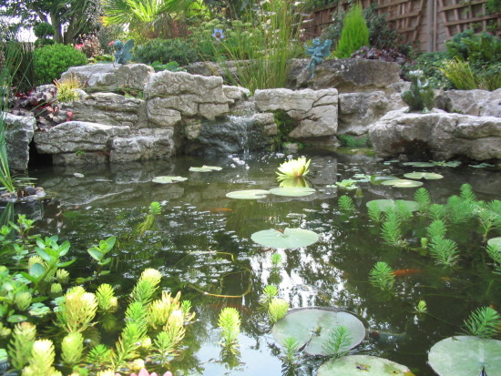 Irish Waterworn Limestone