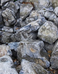 Irish Waterworn Limestone