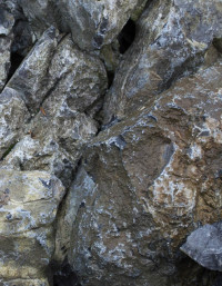 Irish Waterworn Limestone